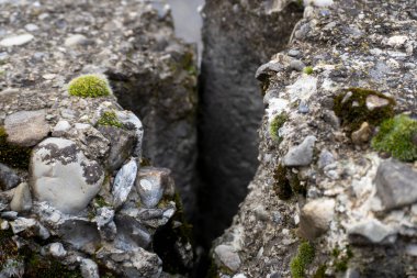 Kış mevsiminde doğa titreşimleri