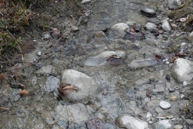 Kayalarla çevrili küçük bir dereye yakın çekim.