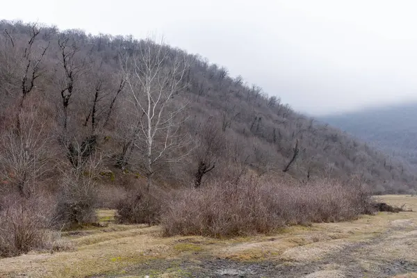 Manzara ve doğa havası