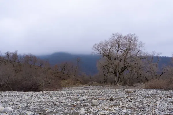 Manzara ve doğa havası