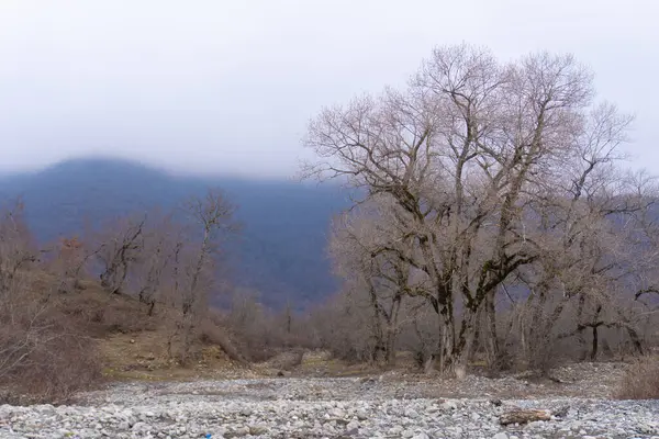 Manzara ve doğa havası