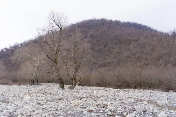Manzara ve doğa havası