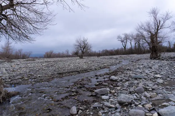 Manzara ve doğa havası