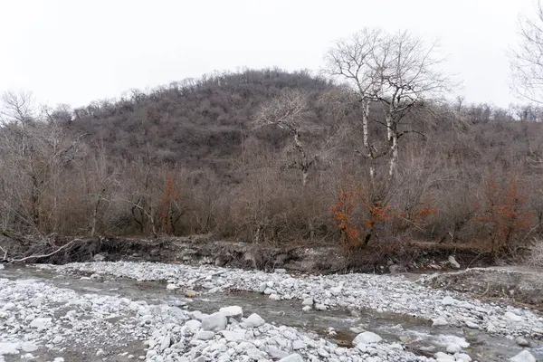 Manzara ve doğa havası