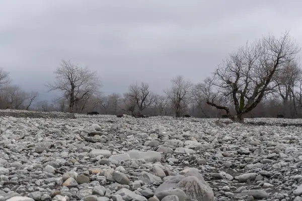 Manzara ve doğa havası