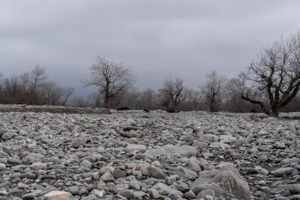 Manzara ve doğa havası