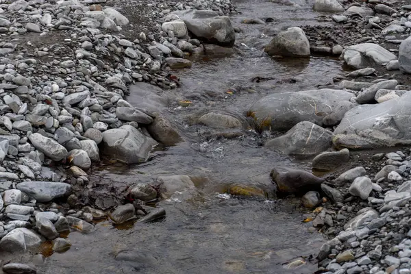 Manzara ve doğa havası