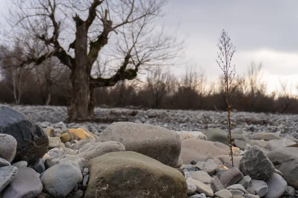 Kış mevsiminde doğa titreşimleri