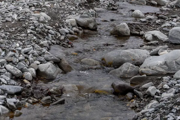 Kış mevsiminde doğa titreşimleri