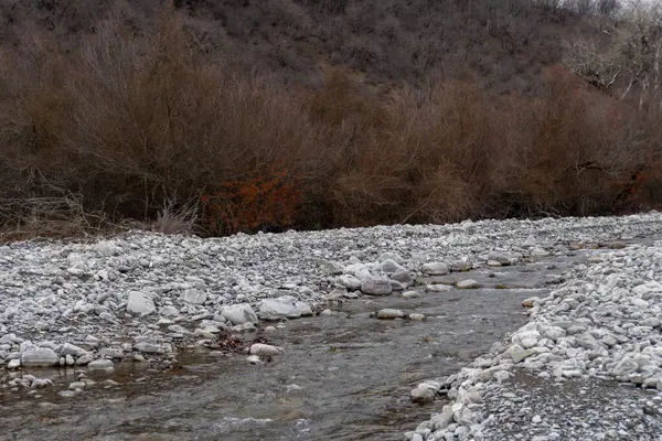 Kış mevsiminde doğa titreşimleri