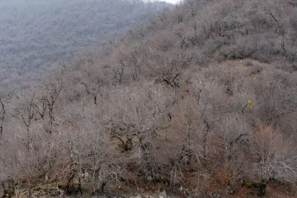 Kış mevsiminde doğa titreşimleri