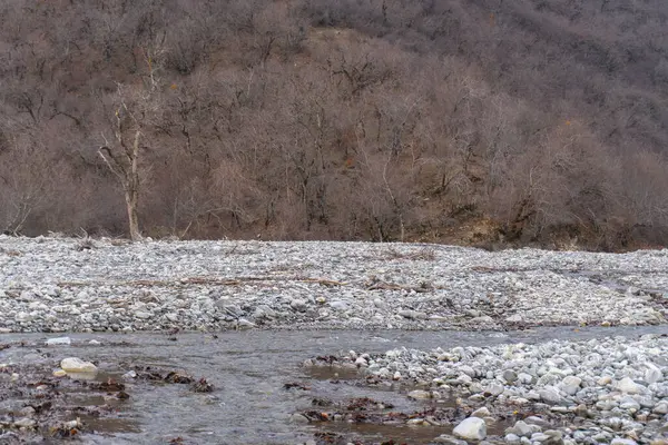 Kış mevsiminde doğa titreşimleri