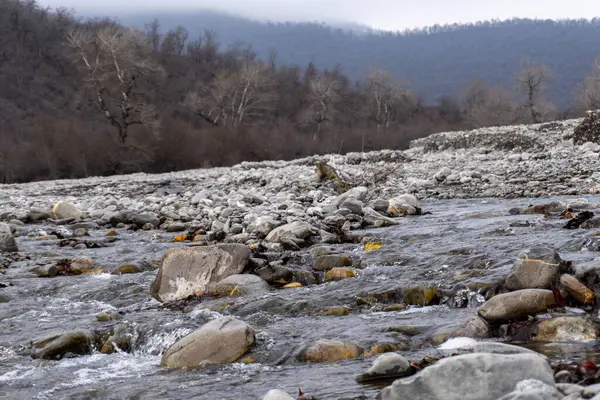 Kış mevsiminde doğa titreşimleri