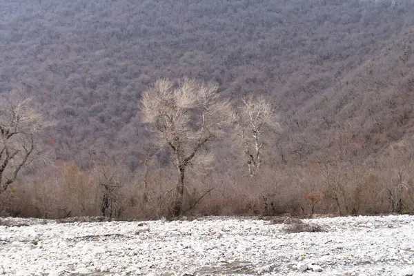 Kış mevsiminde doğa titreşimleri