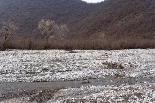 Kış mevsiminde doğa titreşimleri
