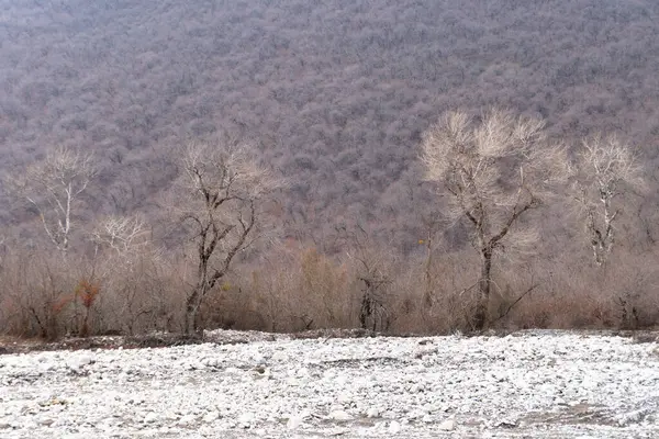 Kış mevsiminde doğa titreşimleri