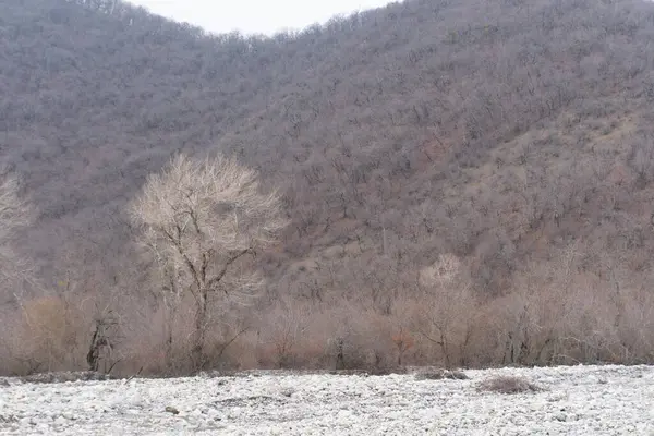 Kış mevsiminde doğa titreşimleri