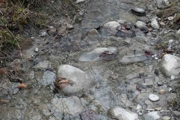 Kayalarla çevrili küçük bir dereye yakın çekim.