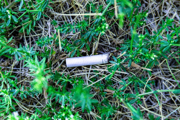 зеленая трава на белом газоне