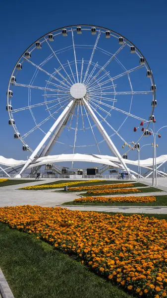 Dönme dolap. Bakü, Azerbaycan.