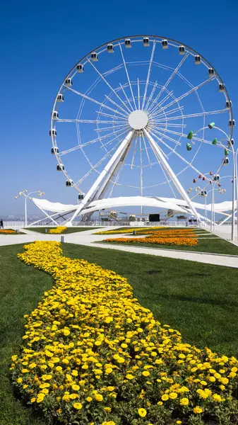 Dönme dolap. Bakü, Azerbaycan.