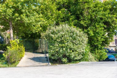 Bakü, Azerbaycan 'da bahar havası. Seyahat ve tatil konsepti.