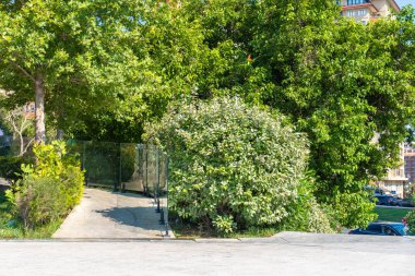 Bakü, Azerbaycan 'da bahar havası. Seyahat ve tatil konsepti.