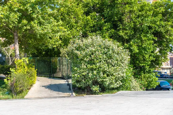 Bakü, Azerbaycan 'da bahar havası. Seyahat ve tatil konsepti.