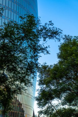 Alev Kulelerinin Manzarası. Bakü, Azerbaycan