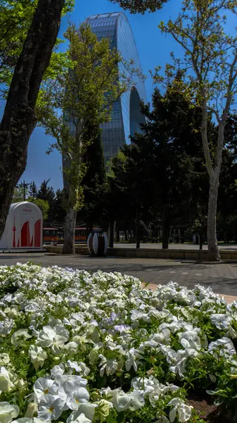 Bakü, Azerbaycan 'da bahar havası. Seyahat ve tatil konsepti.