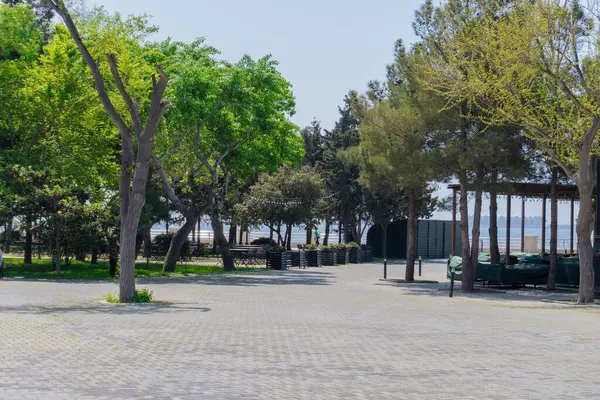 Bakü, Azerbaycan 'da bahar havası. Seyahat ve tatil konsepti.