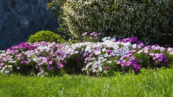 Bakü, Azerbaycan 'da seyahat ve tatil kavramı