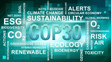 Anlaşıldı, tamam. BM İklim Değişimi Konferansı - Belm, Kasım 2025. Yazı işleri müdürü Bakü, Azerbaycan. 04.03.2025.