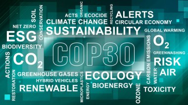 Anlaşıldı, tamam. BM İklim Değişimi Konferansı - Belm, Kasım 2025. Yazı işleri müdürü Bakü, Azerbaycan. 04.03.2025.