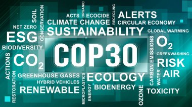 Anlaşıldı, tamam. BM İklim Değişimi Konferansı - Belm, Kasım 2025. Yazı işleri müdürü Bakü, Azerbaycan. 04.03.2025.