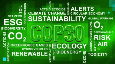 Anlaşıldı, tamam. BM İklim Değişimi Konferansı - Belm, Kasım 2025. Yazı işleri müdürü Bakü, Azerbaycan. 04.03.2025.