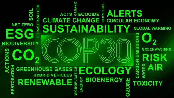 Anlaşıldı, tamam. BM İklim Değişimi Konferansı - Belm, Kasım 2025. Yazı işleri müdürü Bakü, Azerbaycan. 04.03.2025.