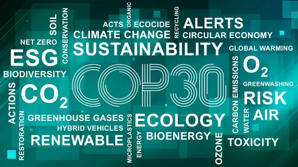 Anlaşıldı, tamam. BM İklim Değişimi Konferansı - Belm, Kasım 2025. Yazı işleri müdürü Bakü, Azerbaycan. 04.03.2025.