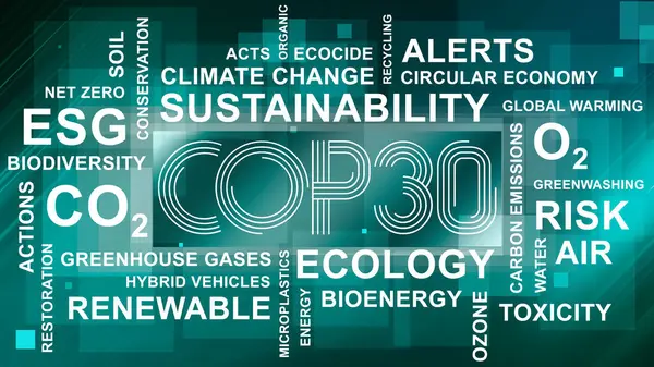 Anlaşıldı, tamam. BM İklim Değişimi Konferansı - Belm, Kasım 2025. Yazı işleri müdürü Bakü, Azerbaycan. 04.03.2025.