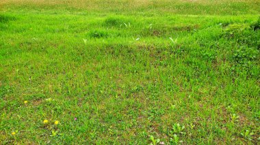 Kırsal kesimde bahar zamanı yakalanıyor..