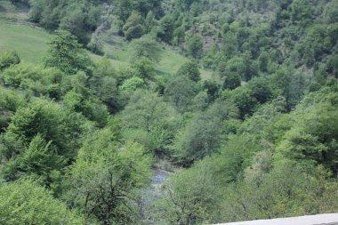Dağlarda dağ yolu olan güzel bir manzara.