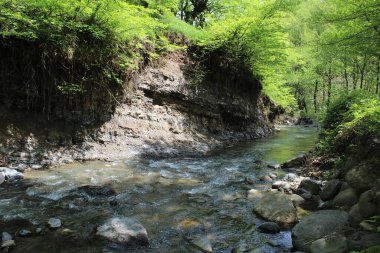 Dağlardaki nehrin güzel manzarası