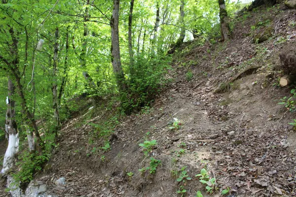 Dağlardaki güzel dağ manzarası.