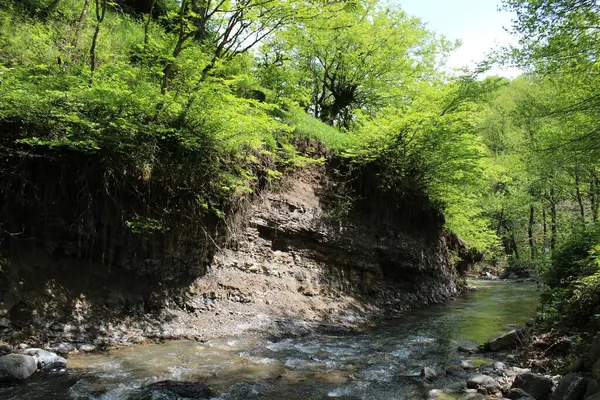Doğanın arka planında güzel bir şelale