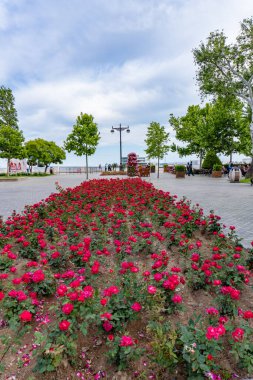 Yazın parkın şehri.