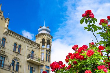 Şehrin güzel manzarası.