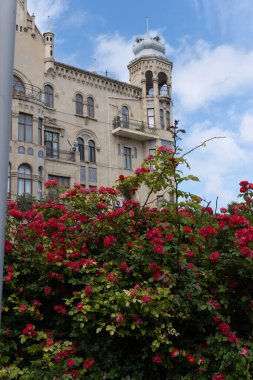 St. Louis Üniversitesi 'nin binası.