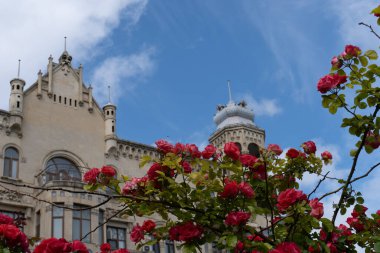 Krakow 'daki üniversitenin güzel binası