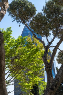 Şehir parkında bahar zamanı yakalandı..
