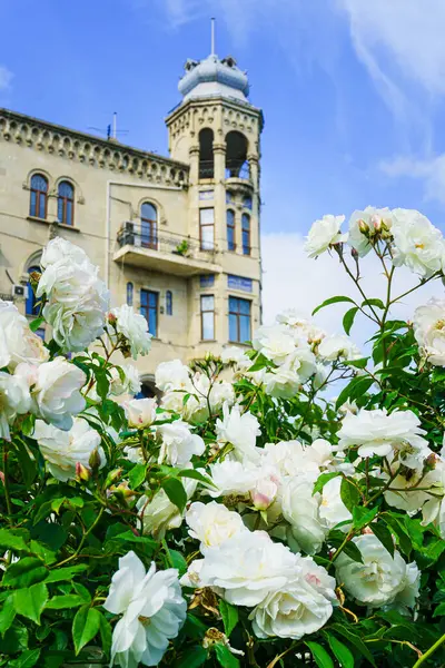 Bahçedeki beyaz şato.